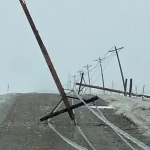 Common Causes of Power Outages