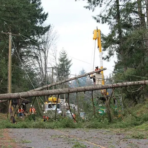 Common Causes of Power Outages on the Island